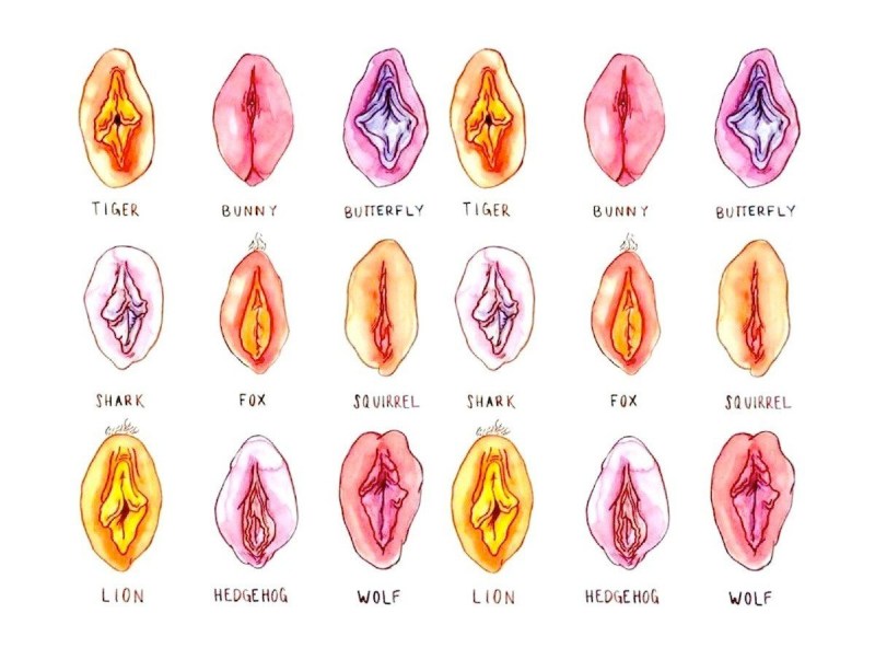 Classification of female vagina