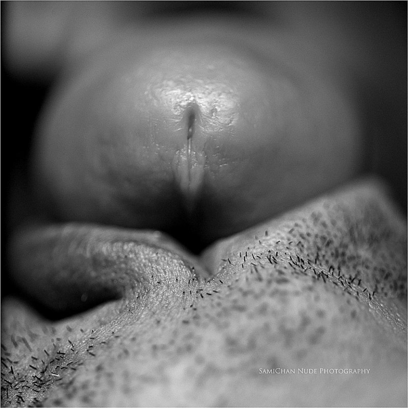 Black Black Black Black Plan