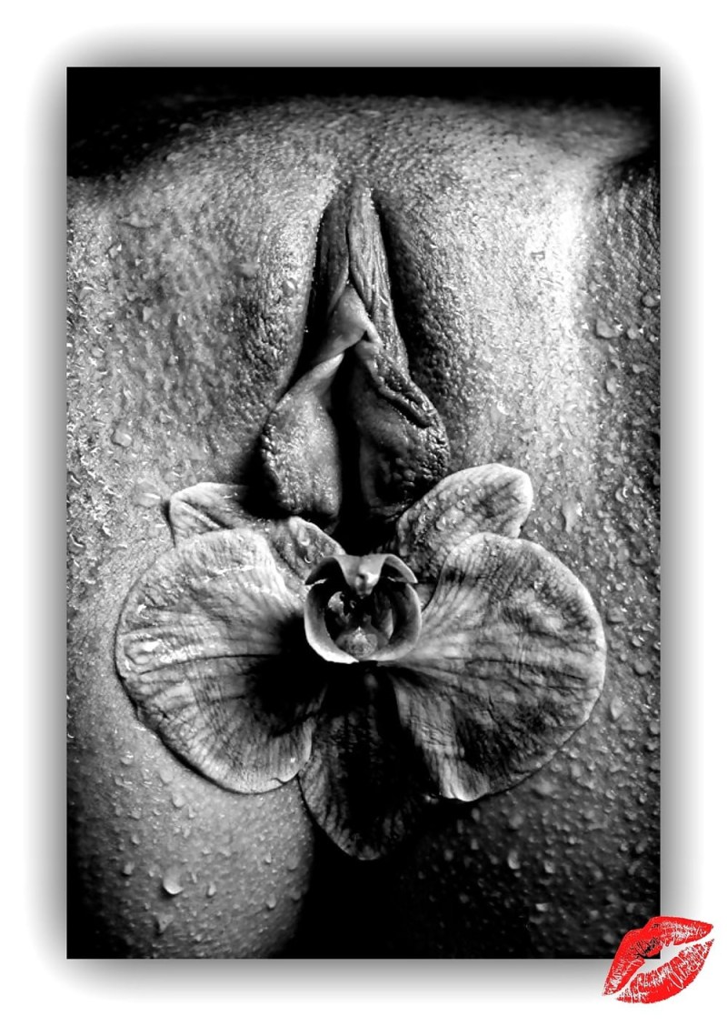 Vlad Gansovsky octopus