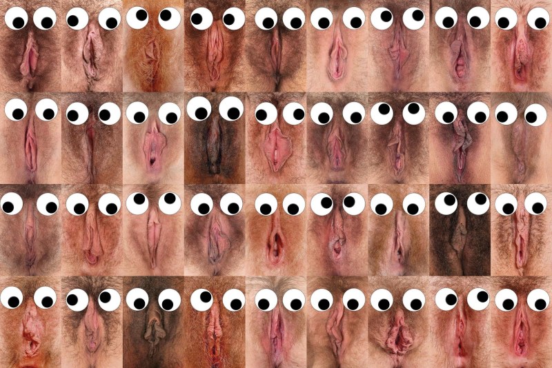 Women's vaginas of different races
