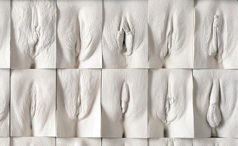 Blinks of vagini Jamie McCartney