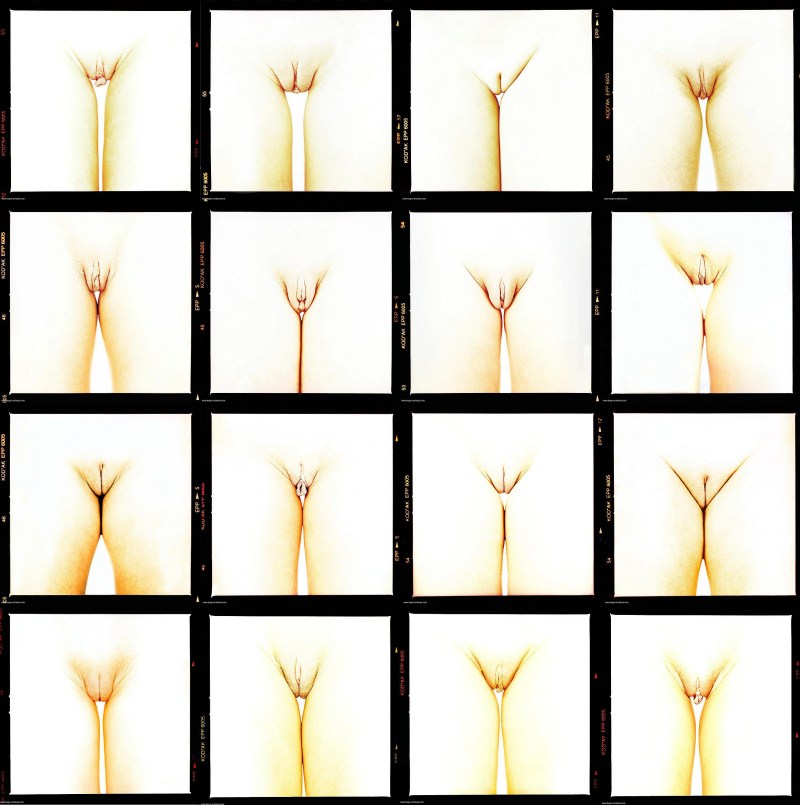 Different forms of female genitals