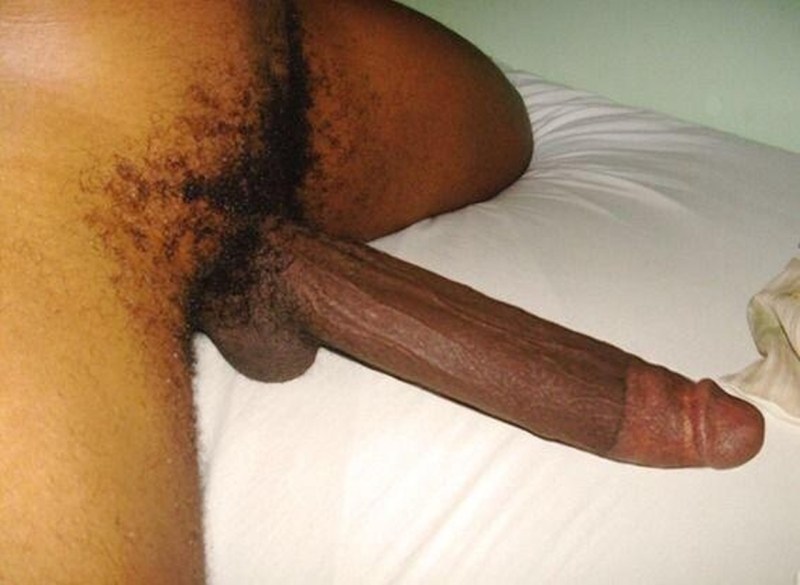 Huge hairy black dick