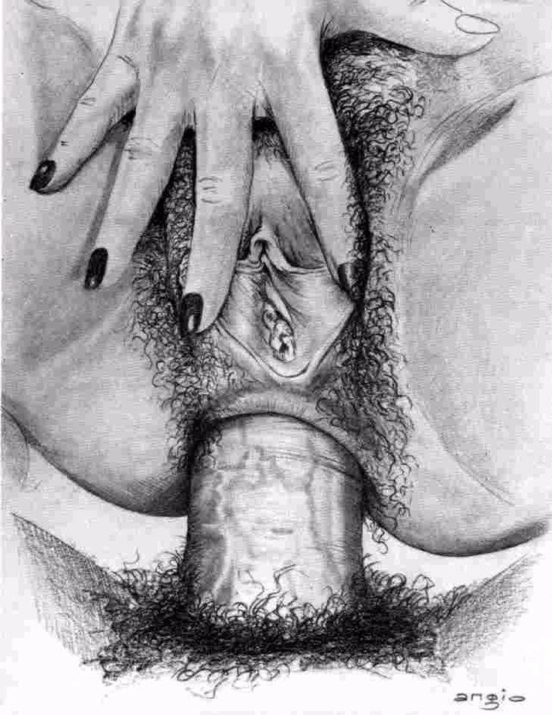 Drawing the genitals