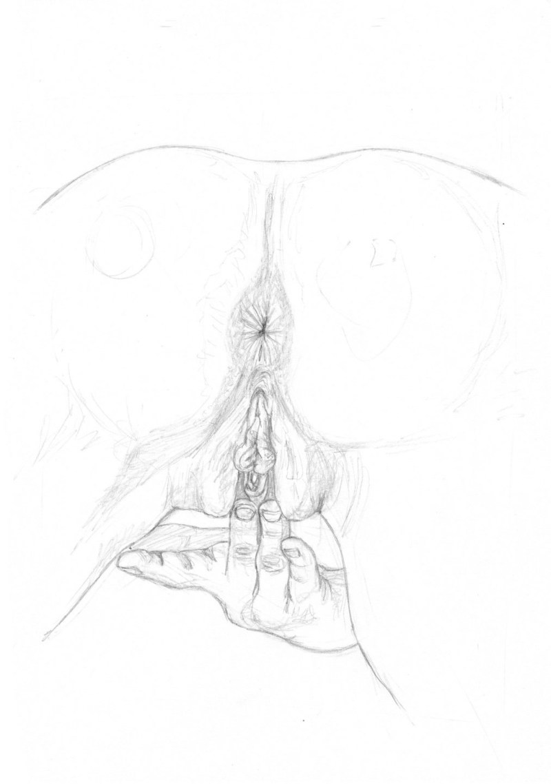 Women's crotch Anatomy