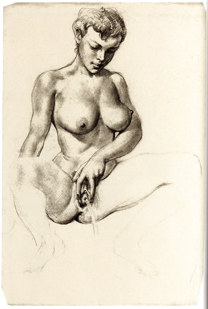 Drawing the genitals