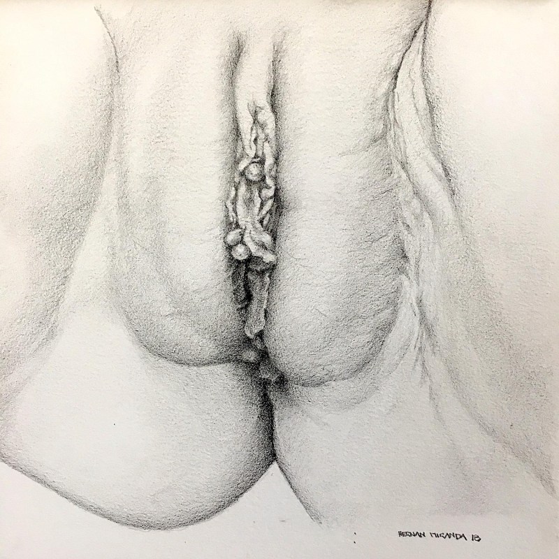 Artistic image of the vagina