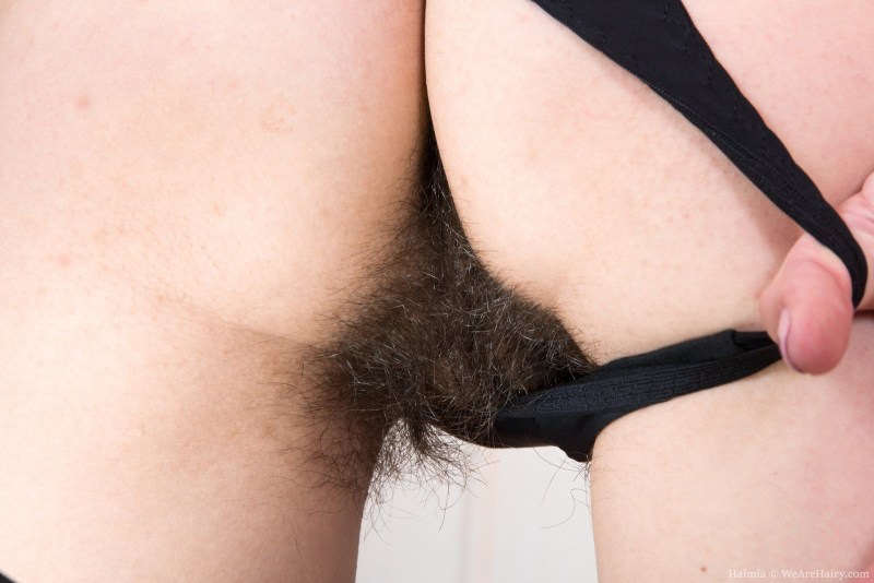 Very hairy female pubis