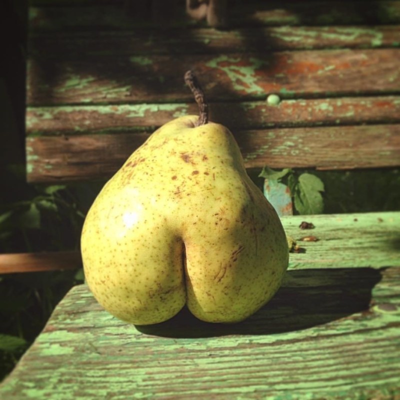 Fruit similar to the ass