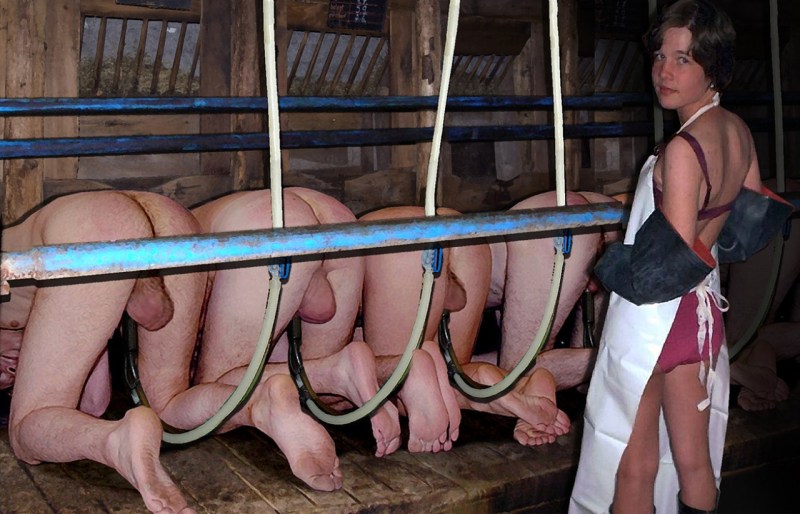 BDSM milking guys farm