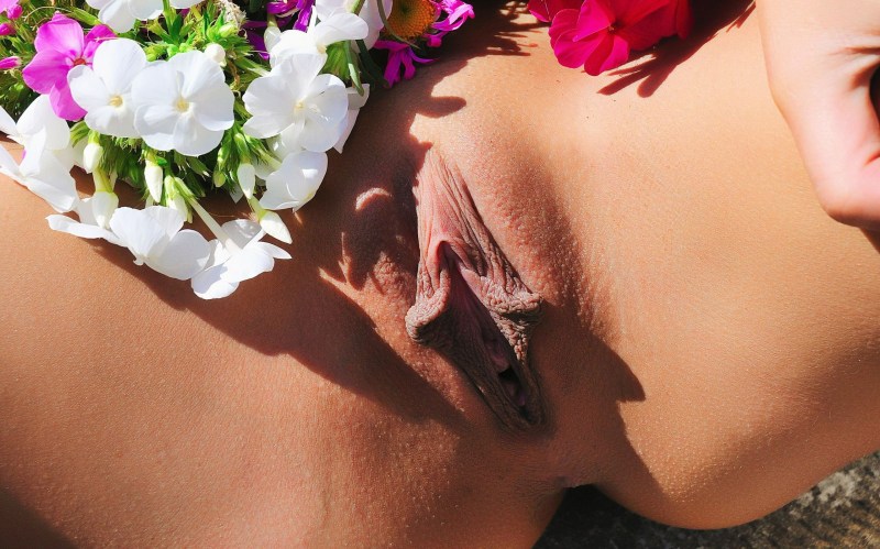 The competition for the most beautiful pussy