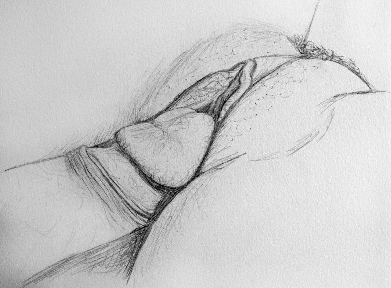 Vagina drawing with a pencil
