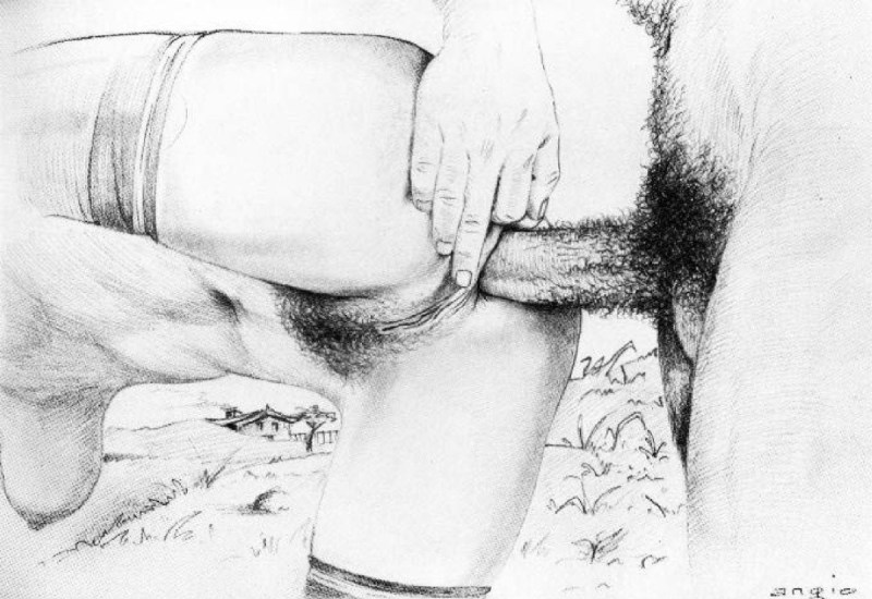 Pencil drawings of blowjob