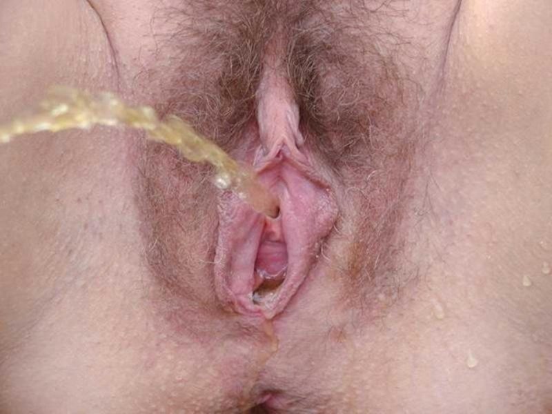 Hairy vagina pursues close -up