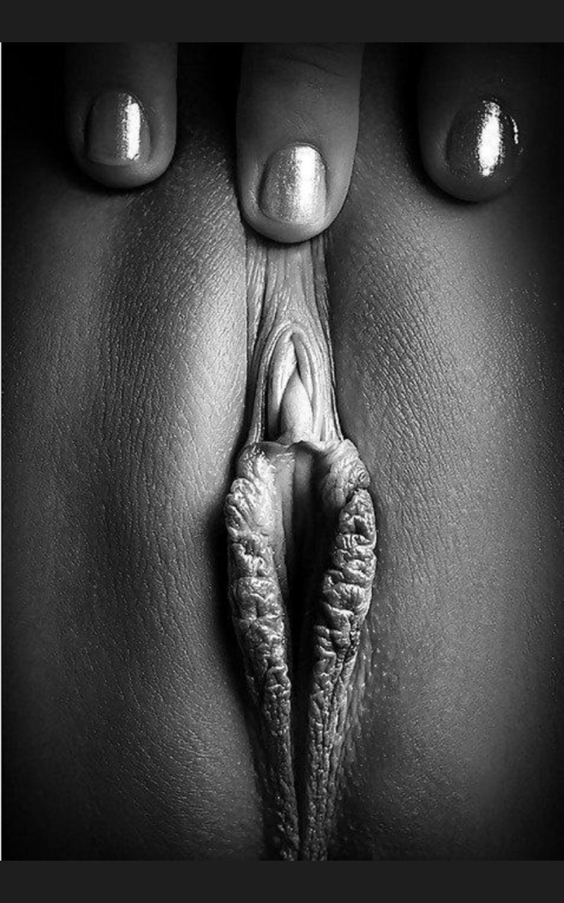 Artistic photos of the vagina