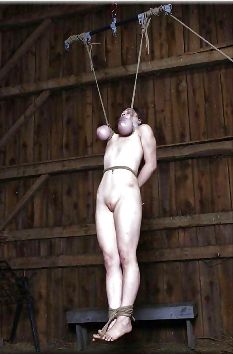 BDSM hung for boobs