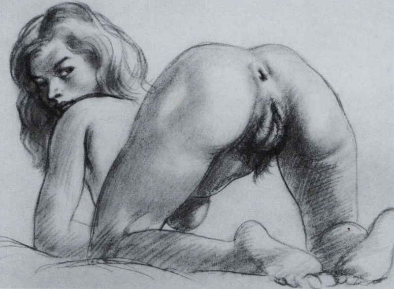 Erotic drawings with a pencil
